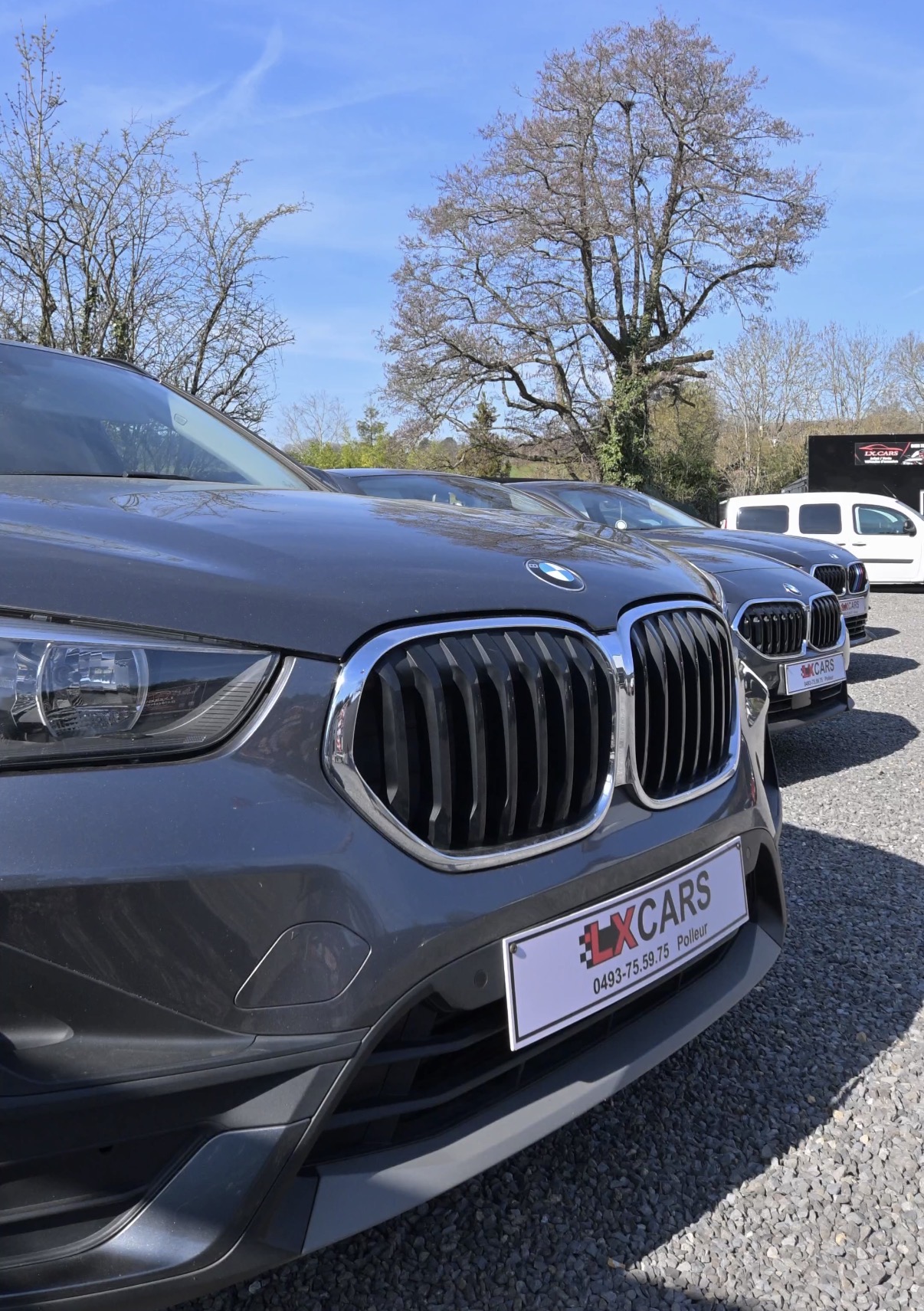 Le soleil se leve sur Lx Cars